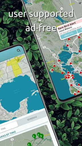 BirdingApp ডাউনলোড করুন – দুর্লভ পাখির আপডেট ও বার্ডারদের সাথে সংযোগ - Screenshot 2