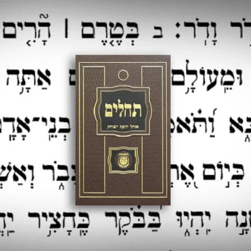 Tehillim Ohel Yosef Yitzchak ডাউনলোড করুন – সেরা ডিজিটাল তেহিলিম বই